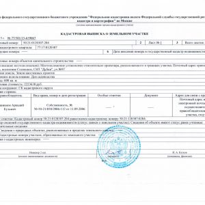 Получение кадастрового паспорта или кадастровой выписки