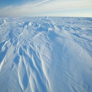 Ученые создали цифровую модель для эффективного мониторинга природной среды в Арктике